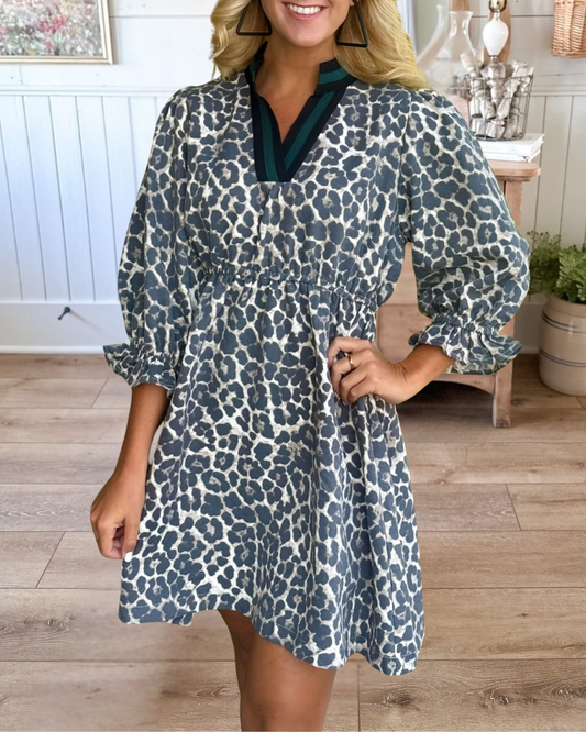 Leopard Print V Neckline Dress